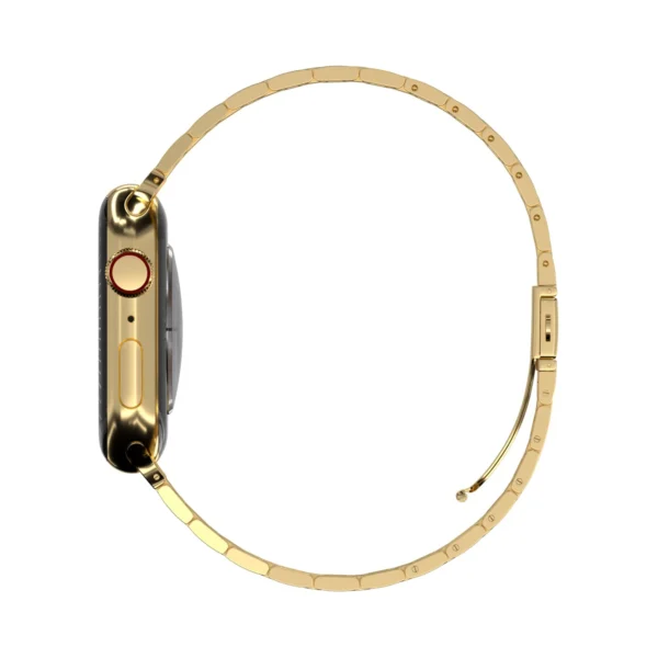 KW2920 stainless steel watch band / Gold / view 7